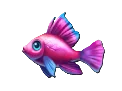 Pink Fish