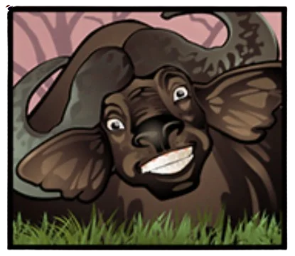 Bison