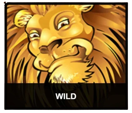 Wild Symbol