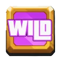 Wild Symbol