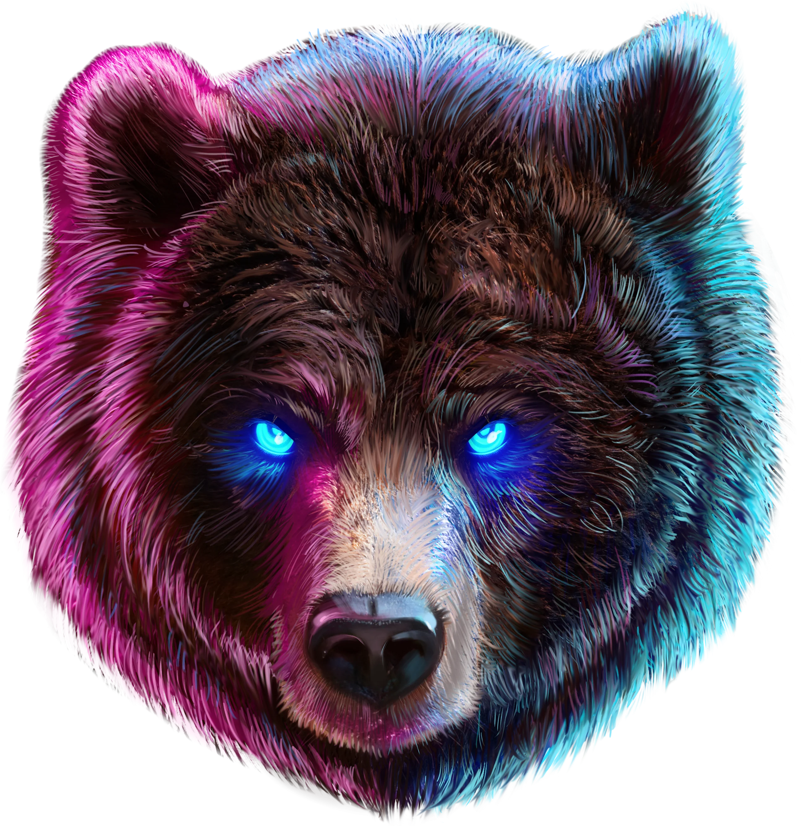 Bear