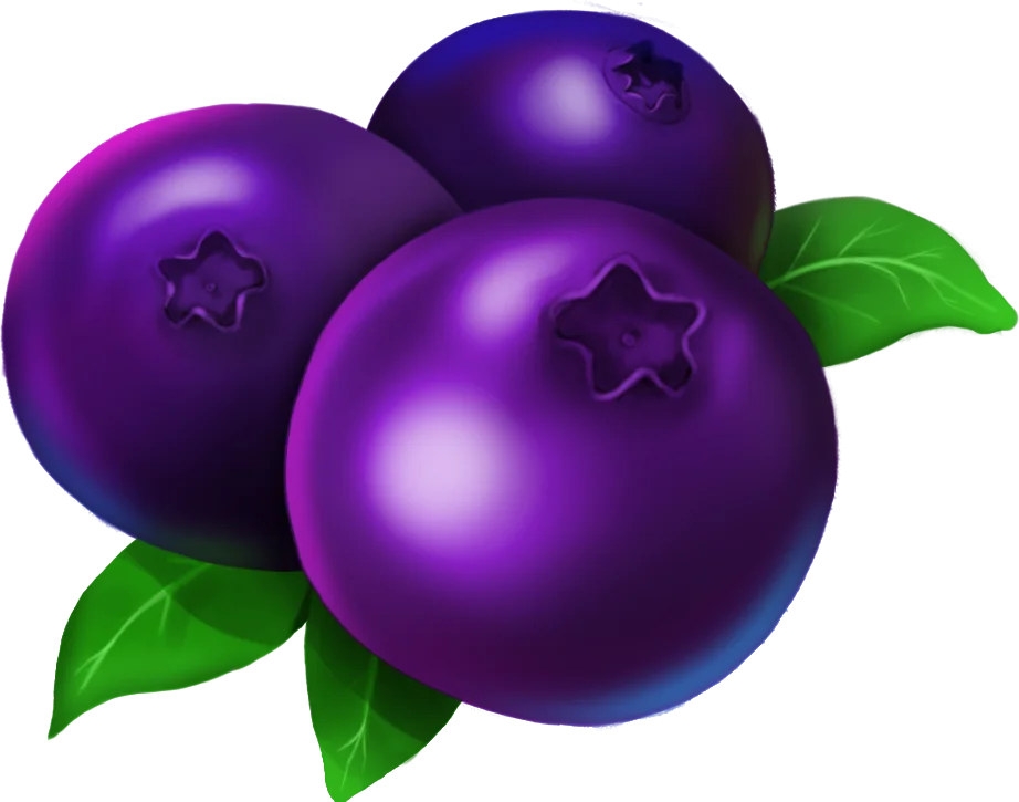Blueberry