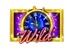 Wild Symbol
