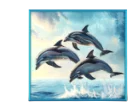 Dolphins