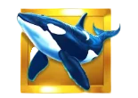 Orca