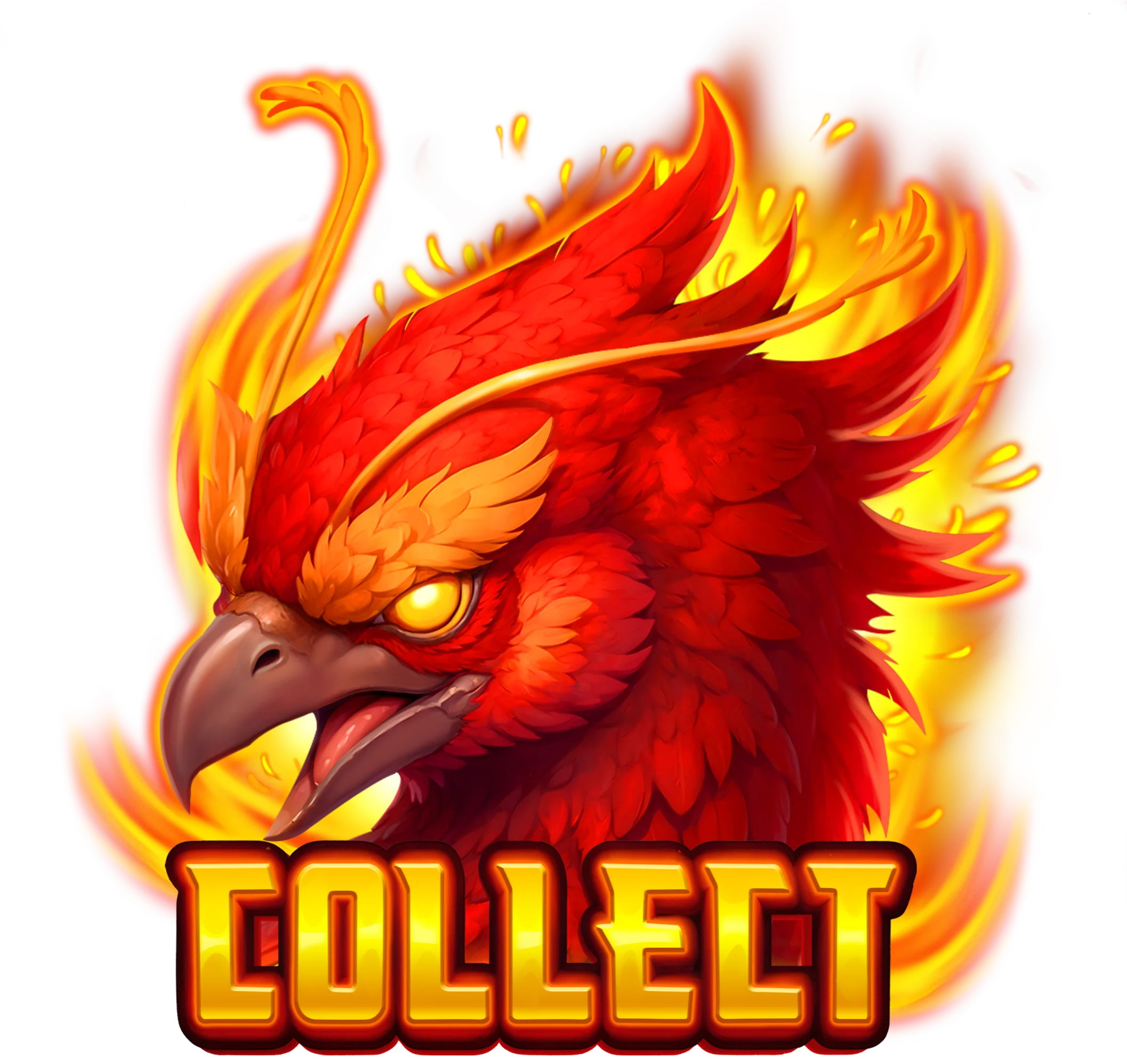 Collect