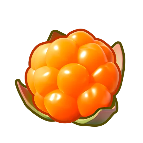 Cloudberries