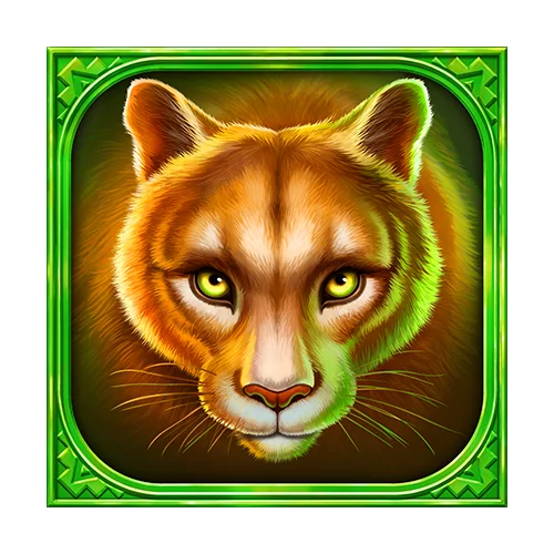 Cougar