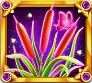 Lilies
