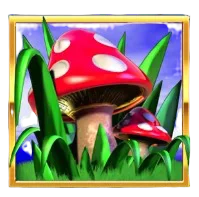 Magic Toadstool