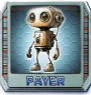 Payer