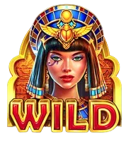 Wild Symbol
