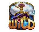 Wild Symbol