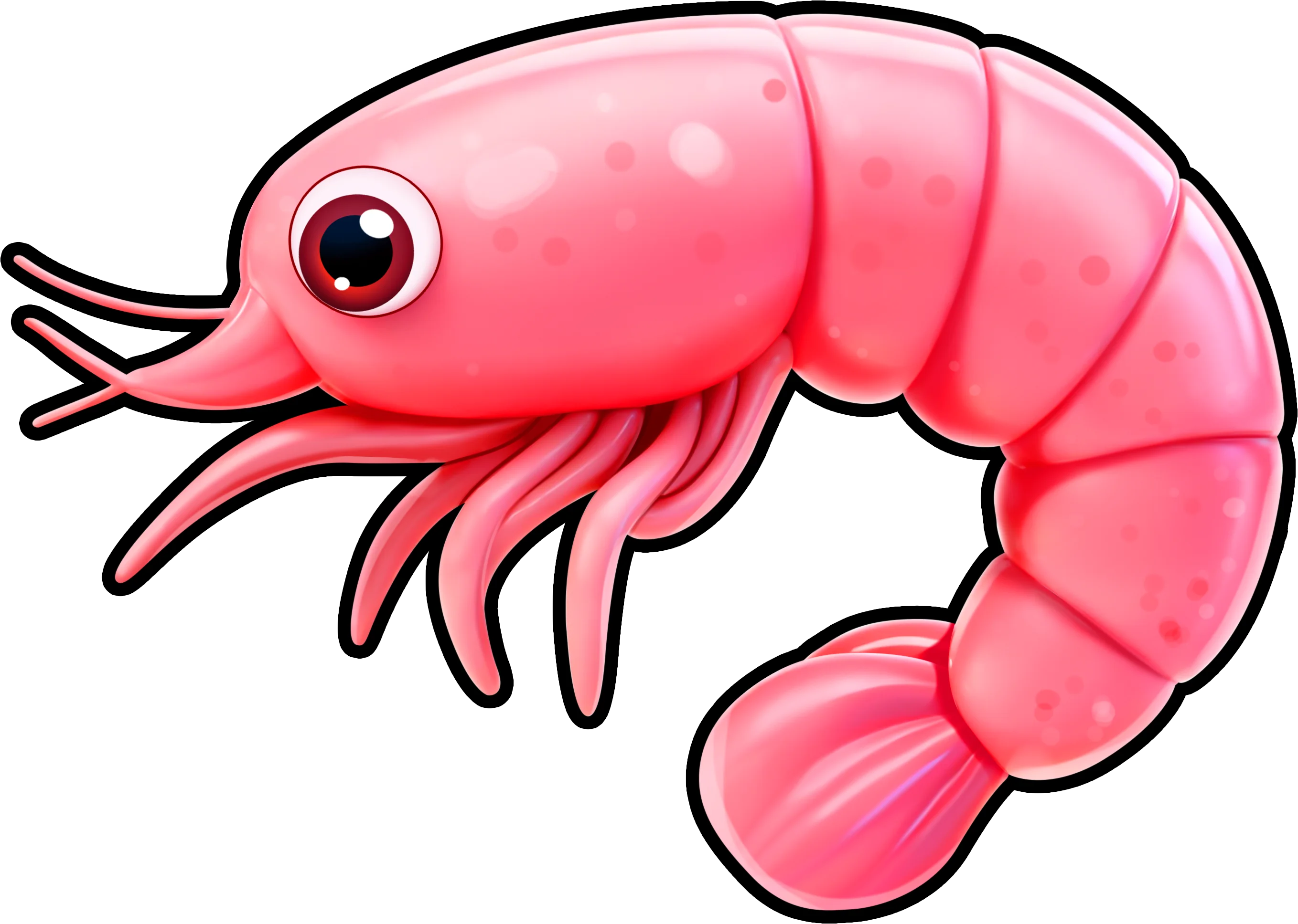 Shrimp
