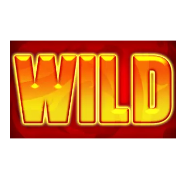 Wild Symbol