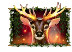 Elk
