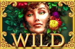 Wild Symbol