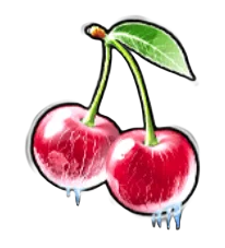 Cherries