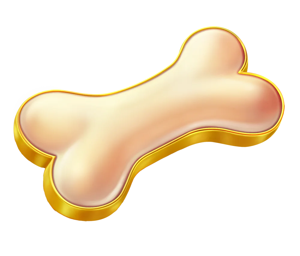 Bone