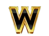 Wild Symbol