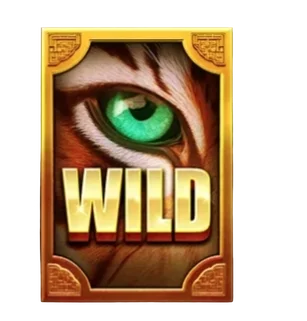 Wild Symbol