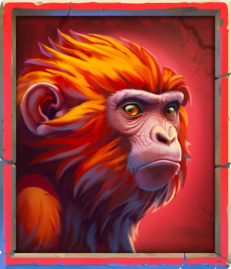 Monkey