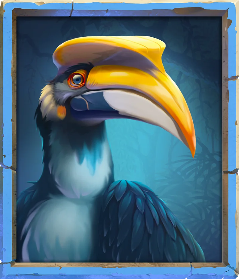 Toucan