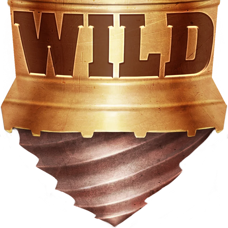 Wild Symbol