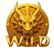 Wild Symbol