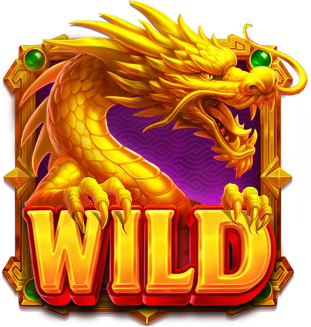 Wild Symbol