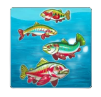 Any Fish