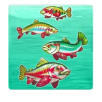 Any Fish