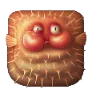 Puffer Fish