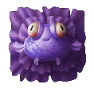 Purple Fish