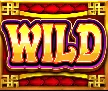 Wild Symbol