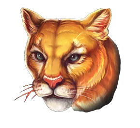 Cougar