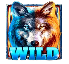 Wild Symbol