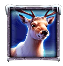 Elk
