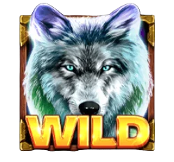 Wild Symbol