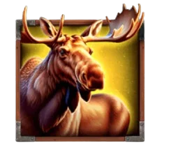 Moose