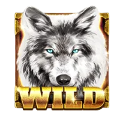 Wild Symbol