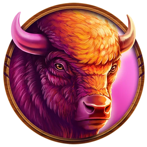 Bison