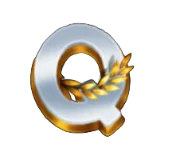 Q
