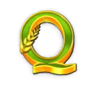 Q