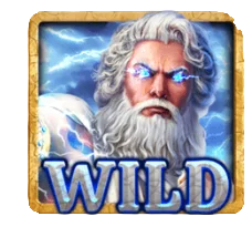 Wild Symbol